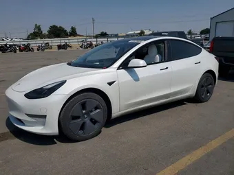 2021 Tesla Model 3 5YJ3E1EA5MF024596 Lot 63036666