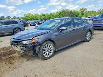 2019 Toyota Camry 4T1B11HK4KU800485 Lot 49914936