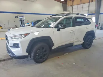 2020 Toyota RAV4 2T3J1RFV1LC087417 Lot 59675896