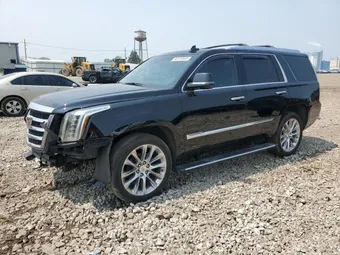 2017 Cadillac Escalade 1GYS4CKJ7HR314749