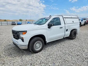 2025 Chevrolet Silverado 1500 3GCNKAEK3SG124245 Lot 58567686