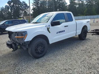 2025 Ford F-150 1FTEX2LP4SKE56421 Lot 61477716