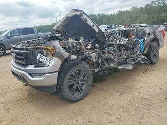 2021 Ford F-150 1FTFW1E8XMFA66944 Lot 51813176