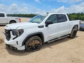 2023 GMC Sierra 1500 3GTPHCED5PG231339 Lot 58613306