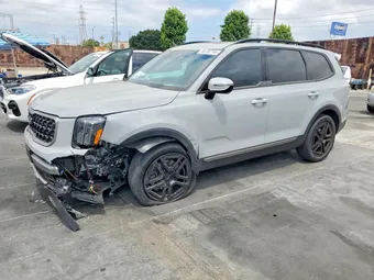 2023 Kia Telluride 5XYP5DGC4PG391049