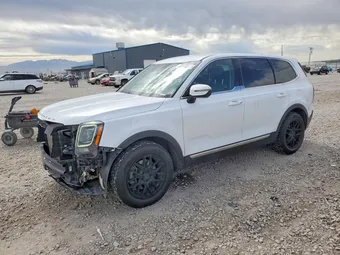 2020 Kia Telluride 5XYP2DHC9LG079021