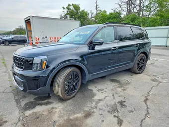 2025 Kia Telluride 5XYP5DGC7SG698434
