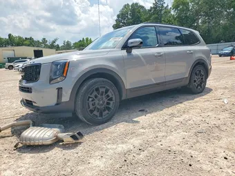 2022 Kia Telluride 5XYP5DHC0NG199378