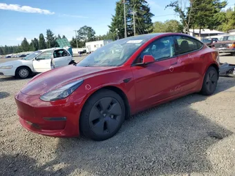 2021 Tesla Model 3 5YJ3E1EB2MF019767 Lot 56302466