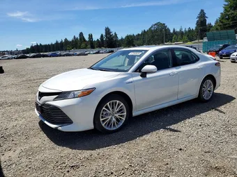 2019 Toyota Camry Hybrid 4T1B21HK4KU516447 Lot 57360826