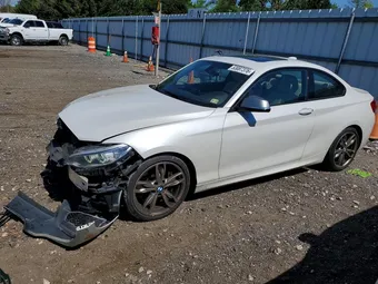 2015 BMW 2 Series WBA1J9C5XFVX98495