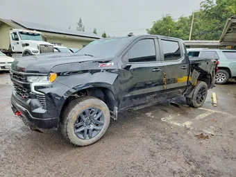 2025 Chevrolet Silverado 1500 3GCPKFEK3SG191207 Lot 62004896