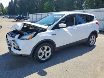 2016 Ford Escape 1FMCU0GX4GUC83036 Lot 55570286