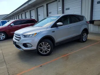 2019 Ford Escape 1FMCU9GD7KUB71396 Lot 48252896