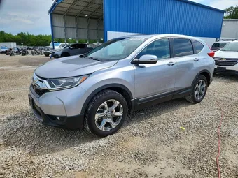2019 Honda CR-V 5J6RW2H80KL025150 Lot 56443376