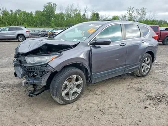 2019 Honda CR-V 2HKRW2H83KH655643 Lot 57939536