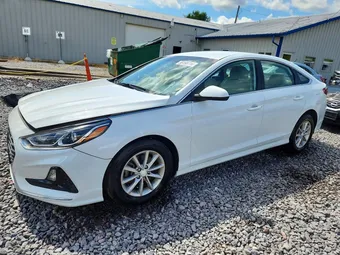 2019 Hyundai Sonata 5NPE24AF5KH817335
