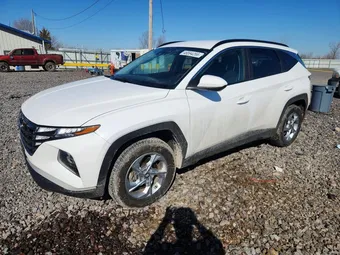 2024 Hyundai Tucson 5NMJBCDE2RH317684