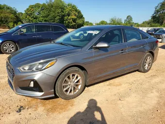 2019 Hyundai Sonata 5NPE24AF7KH734120