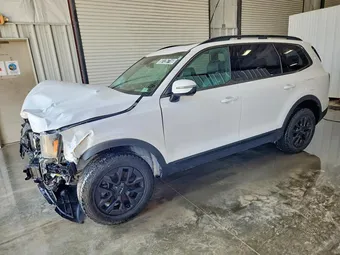 2024 Kia Telluride 5XYP5DGC8RG464460