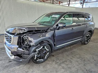 2025 Kia Telluride 5XYP64GC5SG583960