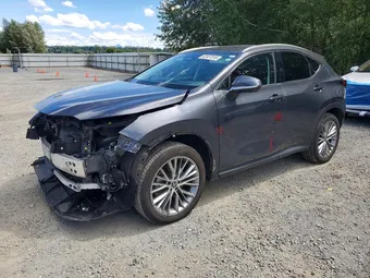 2024 Lexus NX 2T2HKCEZXRC024598