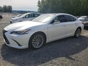 2019 Lexus ES 350 JTHBZ1B14K2004374 Lot 57415696