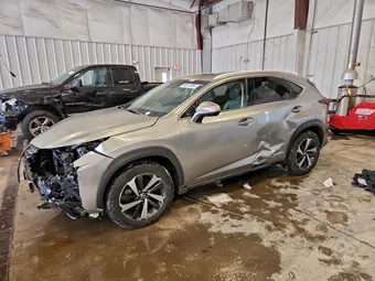 2019 Lexus NX 300H JTJBJRBZ7K2122249