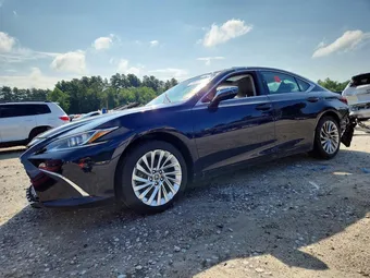 2019 Lexus ES 58ABZ1B1XKU013171