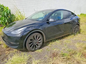 2023 Tesla Model Y 7SAYGDEF6PF666975 Lot 98692065