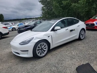 2021 Tesla Model 3 5YJ3E1EA7MF070320 Lot 58248906