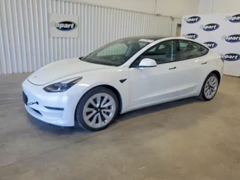 2023 Tesla Model 3 5YJ3E1EA9PF448822 Lot 59342206
