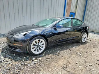 2023 Tesla Model 3 5YJ3E1EA2PF450198 Lot 62825416