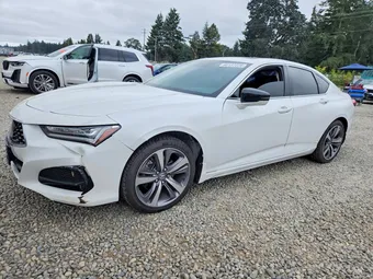 2021 Acura TLX 19UUB5F64MA011864