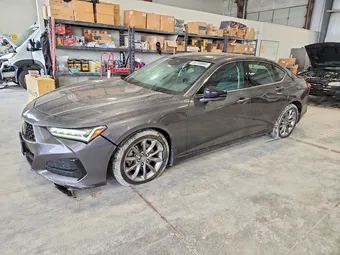 2021 Acura TLX 19UUB6F30MA007595