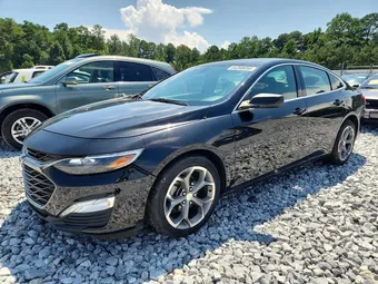 2019 Chevrolet Malibu 1G1ZG5ST8KF193871