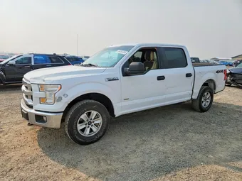 2017 Ford F-150 1FTEW1EG0HKD44556 Lot 64464386