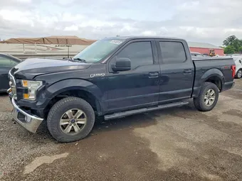 2015 Ford F-150 1FTEW1E89FKE94333 Lot 62640916