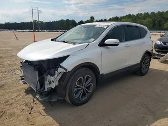 2020 Honda CR-V 5J6RW1H50LA001184 Lot 63525046