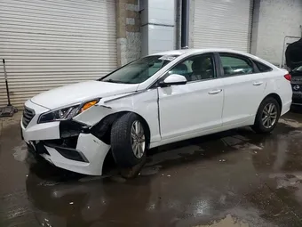 2016 Hyundai Sonata 5NPE24AFXGH356561
