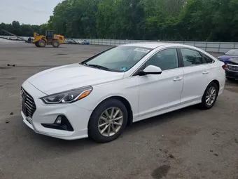 2019 Hyundai Sonata 5NPE24AF0KH802225