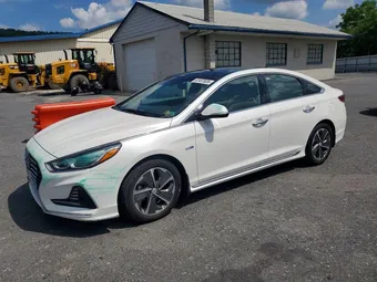 2019 Hyundai Sonata KMHE34L35KA087901
