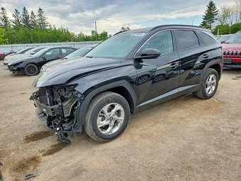2023 Hyundai Tucson KM8JBCAE4PU229600