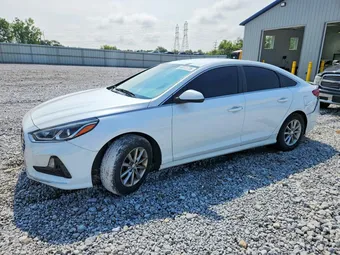 2019 Hyundai Sonata 5NPE24AF6KH729815