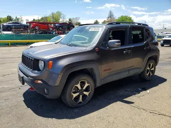 2019 Jeep Renegade ZACNJBC17KPK64040