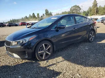 2017 Kia Forte 3KPFL4A85HE006974 Lot 62869696
