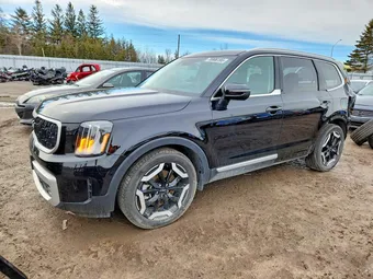 2024 Kia Telluride 5XYP3DGC3RG516955