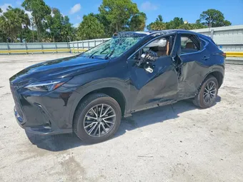 2025 Lexus NX 250 2T2GDCAZ2SC022880
