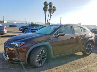 2019 Lexus UX 200 JTHY3JBH0K2013596