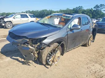 2022 Lexus NX 2T2GGCEZXNC009896